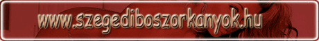 szegediboszorkanyok.hu