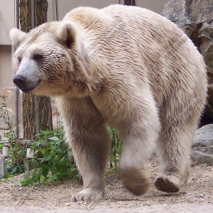 tesztlinda 45 év Erotikus masszázs, nő Eger Heves Magyarország, +3620000000